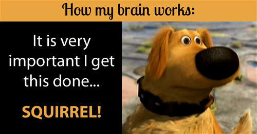 How my brain works It's important to get this done... SQUIRREL! (image of dog)
