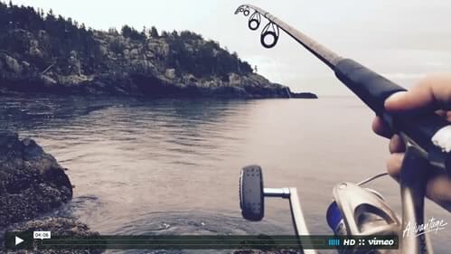 video-screenshot-storytelling