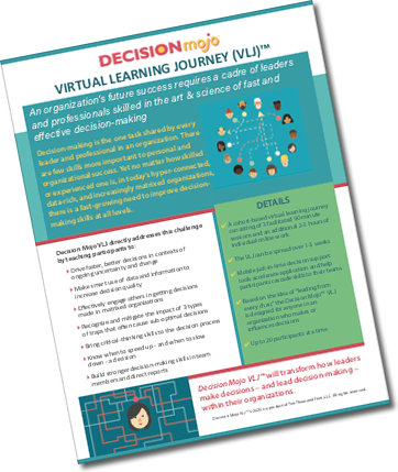 Decision Mojo Virtual Learning Journey(tm)