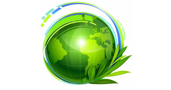 Planting the seeds of ERP knowledge