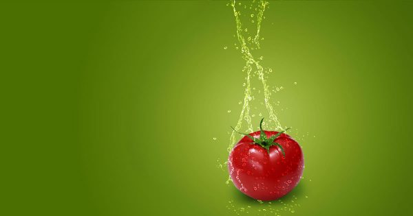 Reaping a harvest of trust at Red Gold