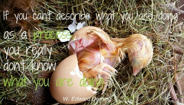 photo of young chick in egg