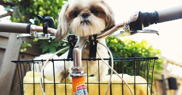 Photo by Sticker Mule on Unsplash