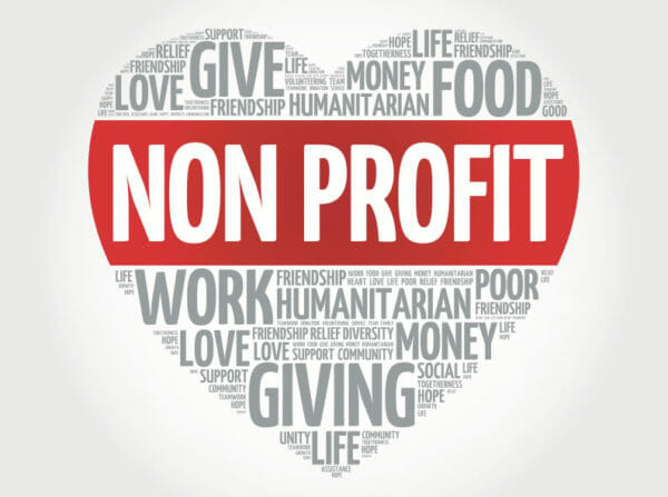 developing non-profit leaders