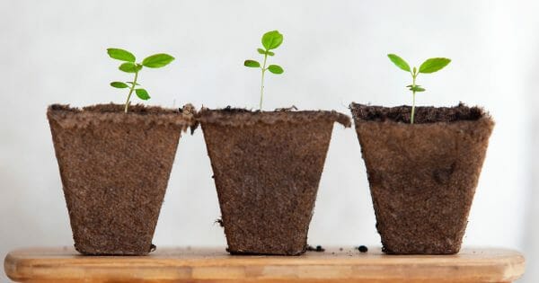 How the best leaders grown and nourish a culture of innovation - Photo by Daniel Hjalmarsson on Unsplash