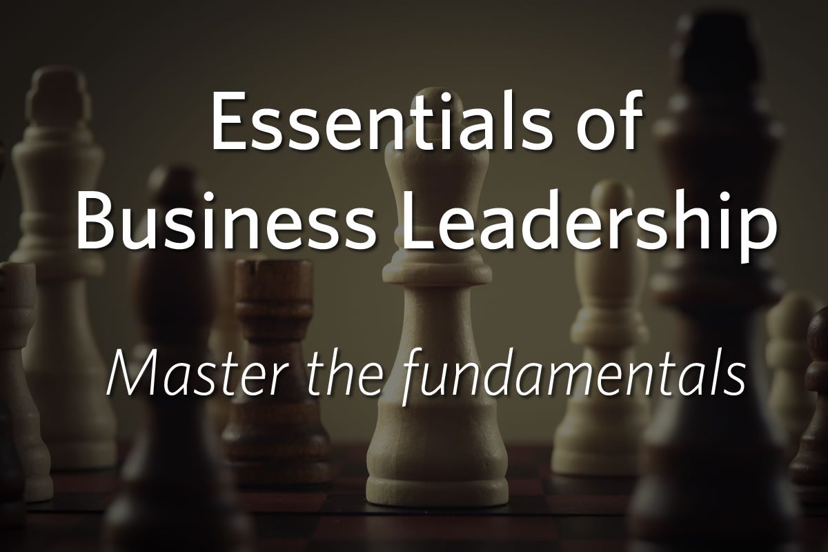 Essentials of Business Leadership: Master the Basics