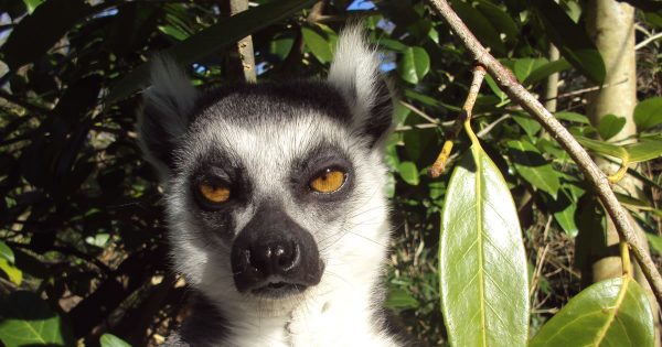 Great sales habits and great sles performance is in the details - Photo by Michelle Phillips on Unsplash