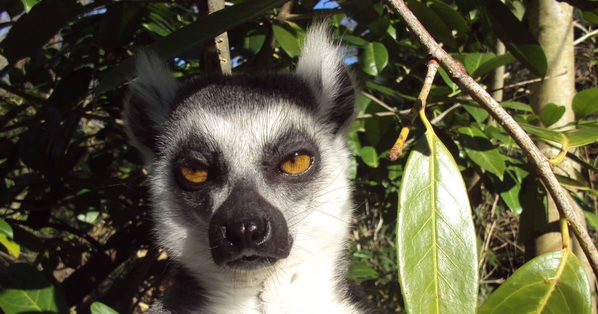 Great sales habits and great sles performance is in the details - Photo by Michelle Phillips on Unsplash