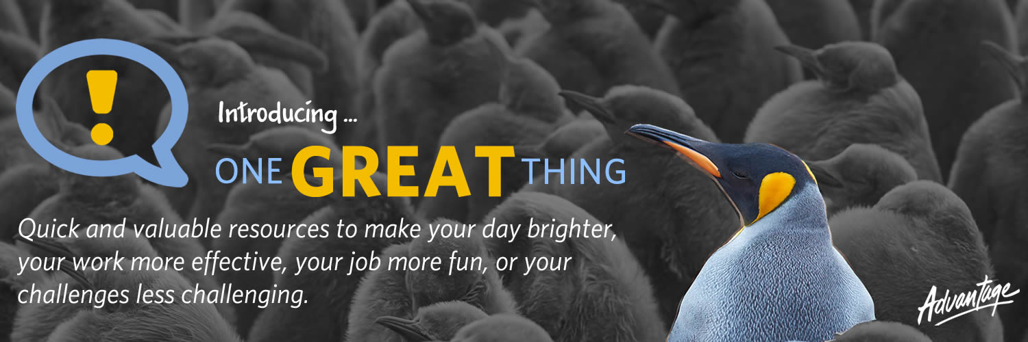 Introducing One great thing from Advantage Performance Group (photo of colorful penguin)