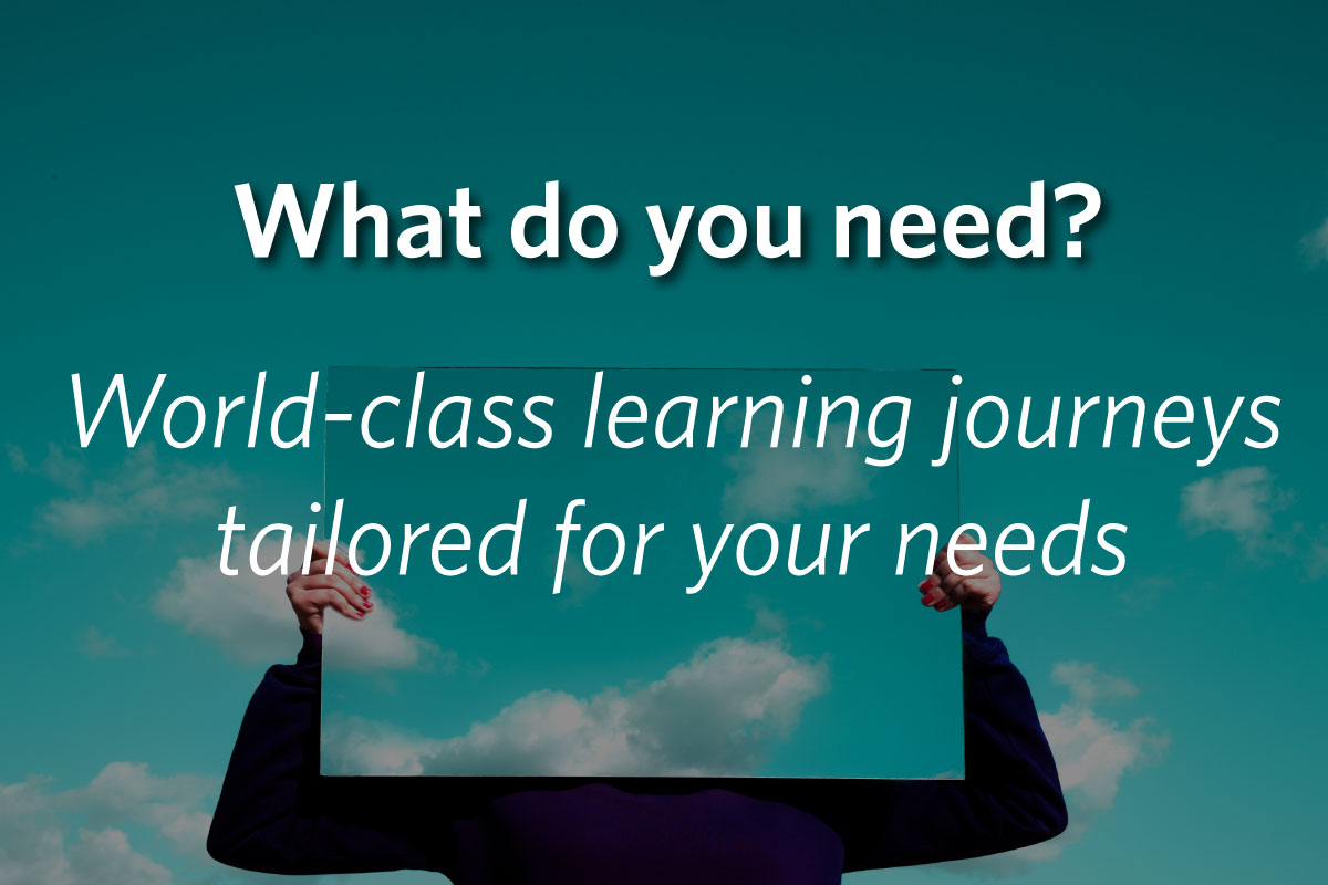 What do you need? World class learning tailored to the needs of your organization