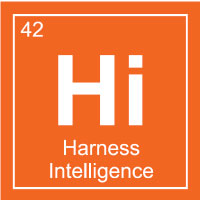 Harness Intelligence with The Wiseman Group