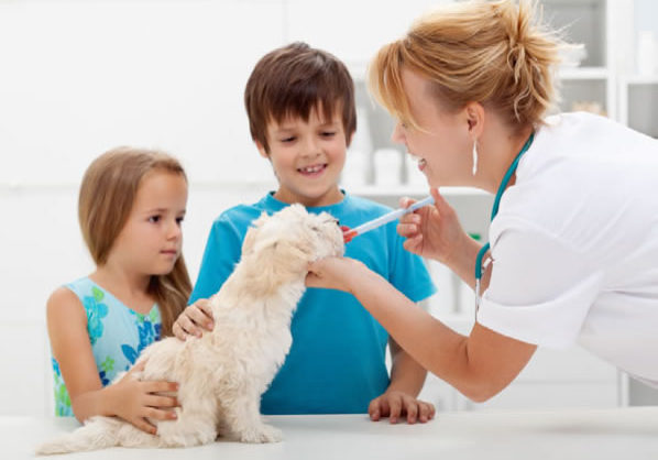 puppy-kids-vet